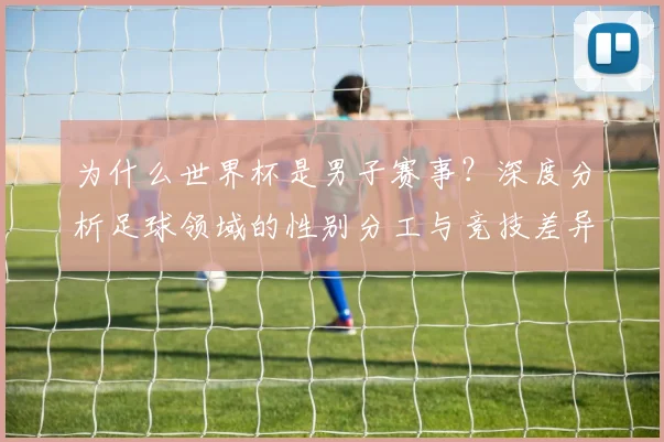 为什么世界杯是男子赛事？深度分析足球领域的性别分工与竞技差异