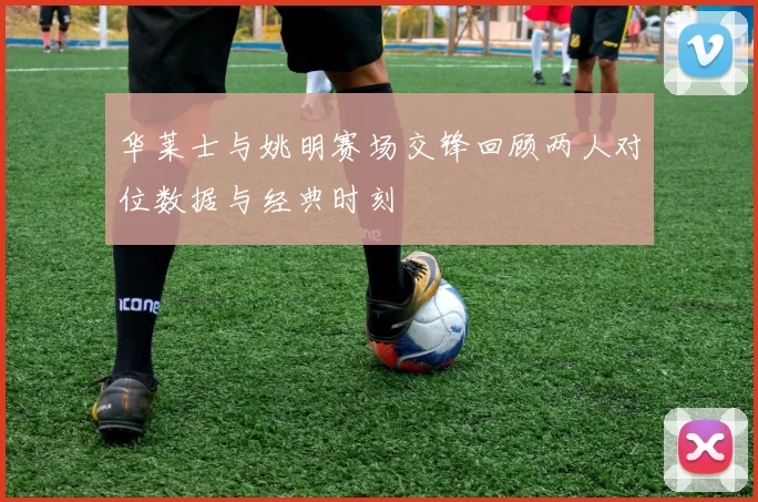 华莱士与姚明赛场交锋回顾两人对位数据与经典时刻