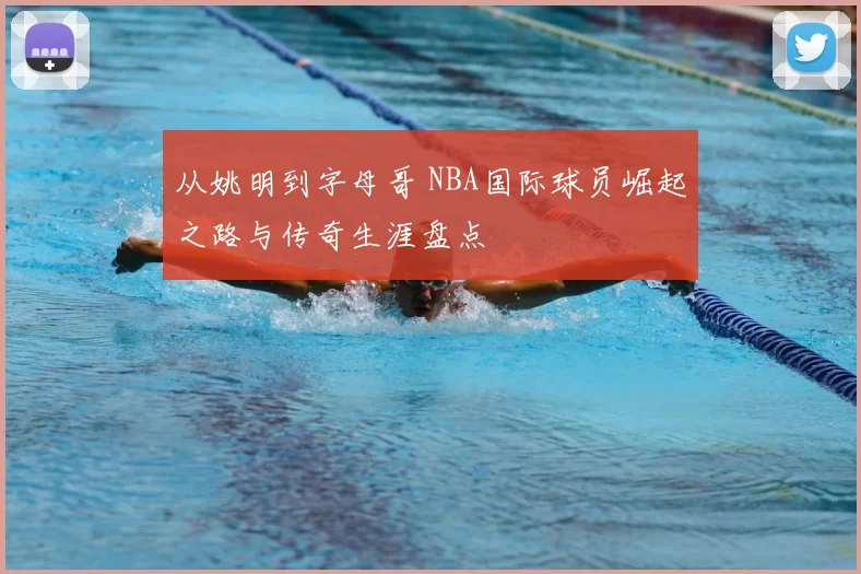 从姚明到字母哥 NBA国际球员崛起之路与传奇生涯盘点