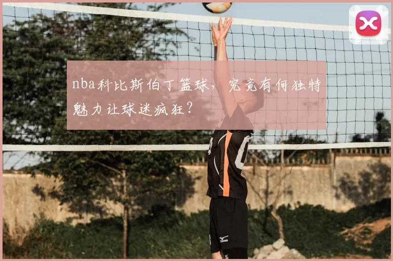 nba科比斯伯丁篮球，究竟有何独特魅力让球迷疯狂？