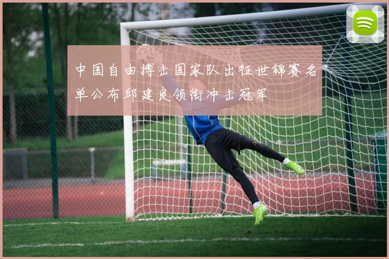 中国自由搏击国家队出征世锦赛名单公布邱建良领衔冲击冠军