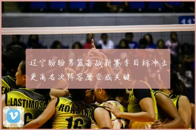 辽宁盼盼男篮备战新赛季目标冲击更高名次阵容磨合成关键