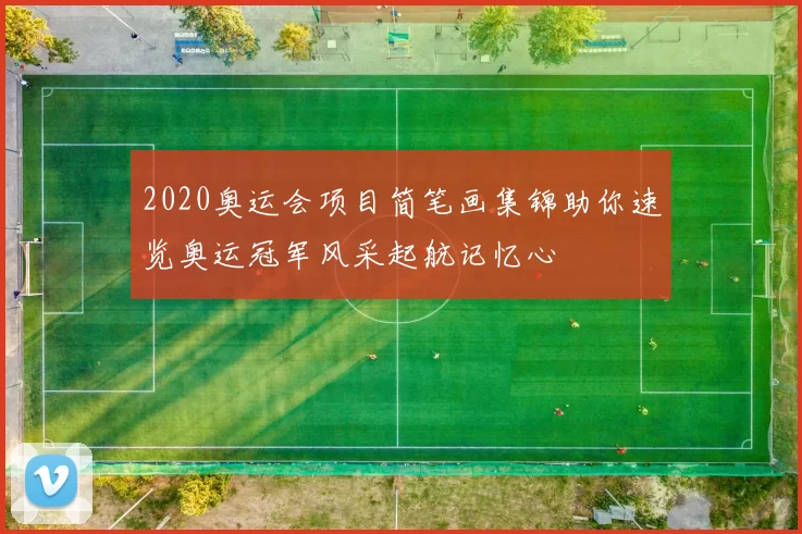 2020奥运会项目简笔画集锦助你速览奥运冠军风采起航记忆心