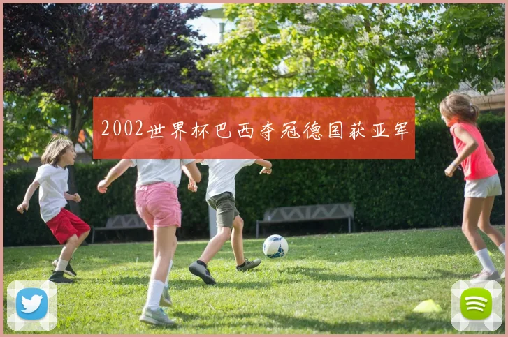 2002世界杯巴西夺冠德国获亚军