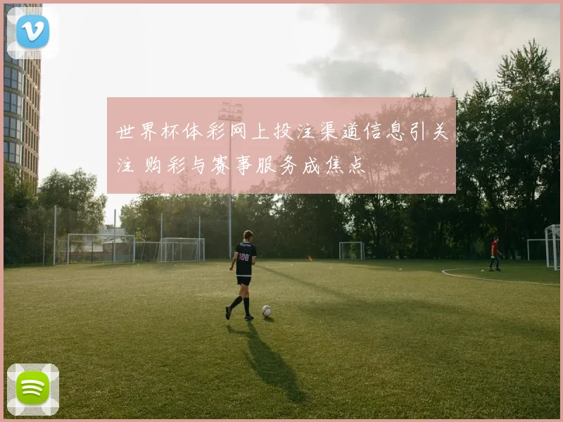 世界杯体彩网上投注渠道信息引关注 购彩与赛事服务成焦点