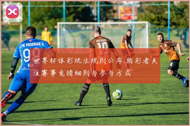 世界杯体彩玩法规则公布 购彩者关注赛事竞猜细则与参与方式