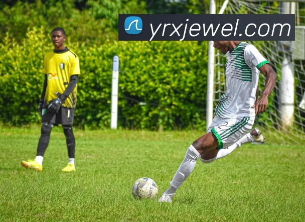 九游j9官网入口链接服务体系